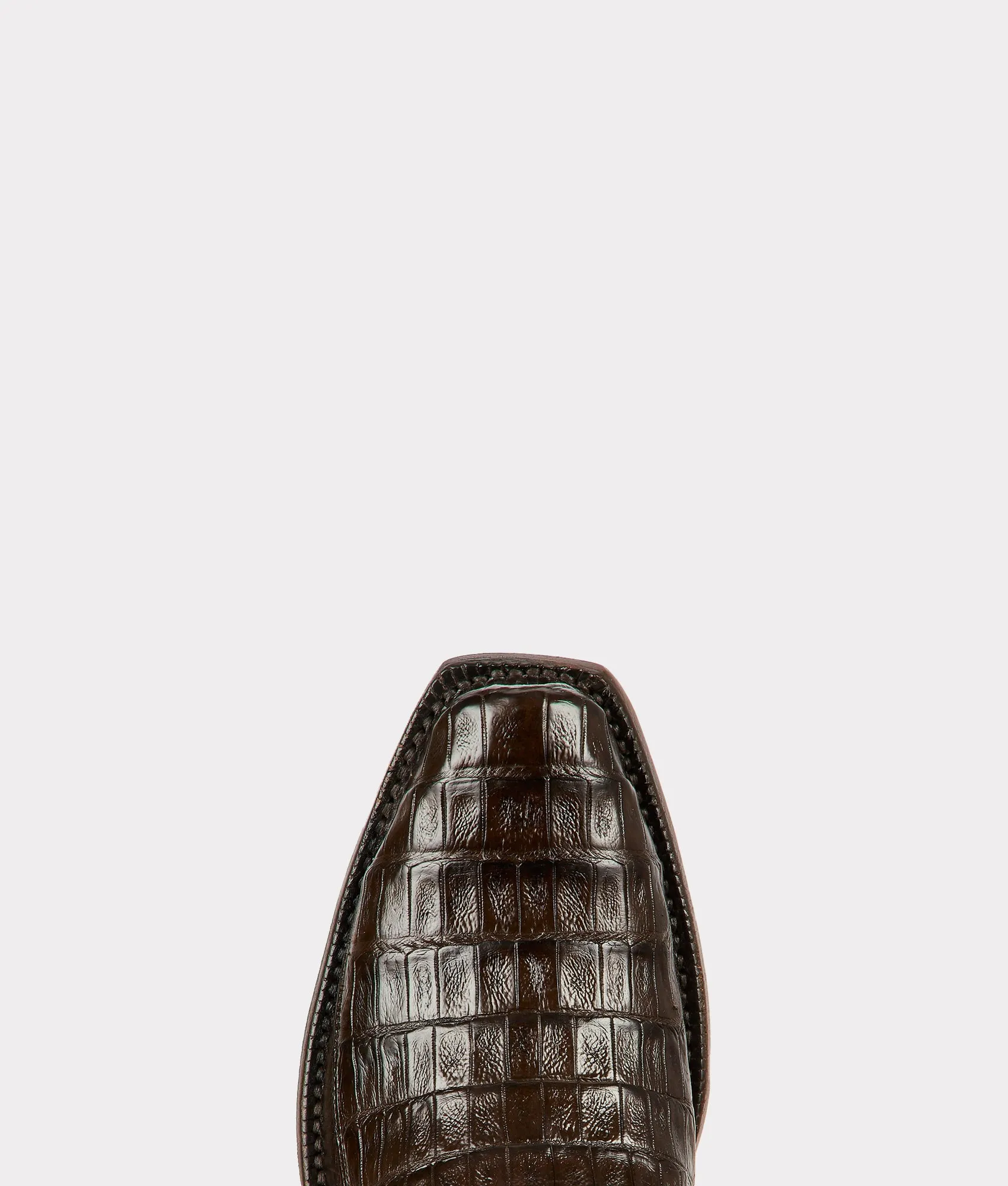 Douglas :: Chocolate